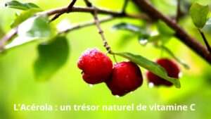 Acérola, fruit naturellement riche en vitamine C